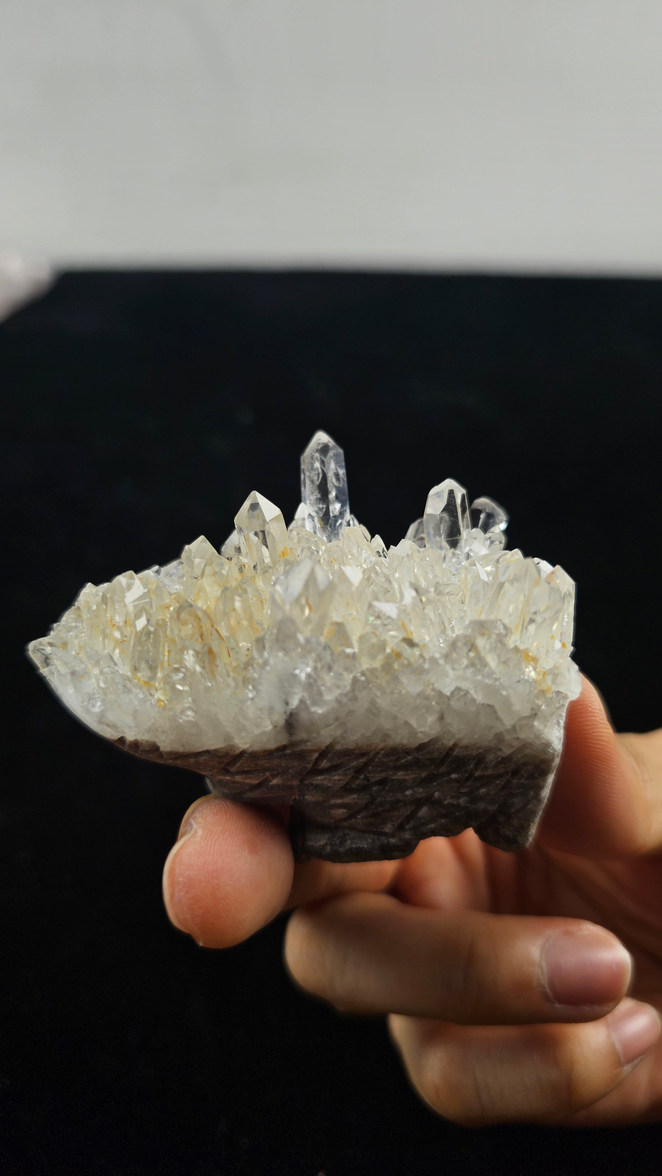 Adorable Clear Quartz Hedgehog | Crystal figurine for healing, meditation, décor & gifting. Unique, authentic & full of charm