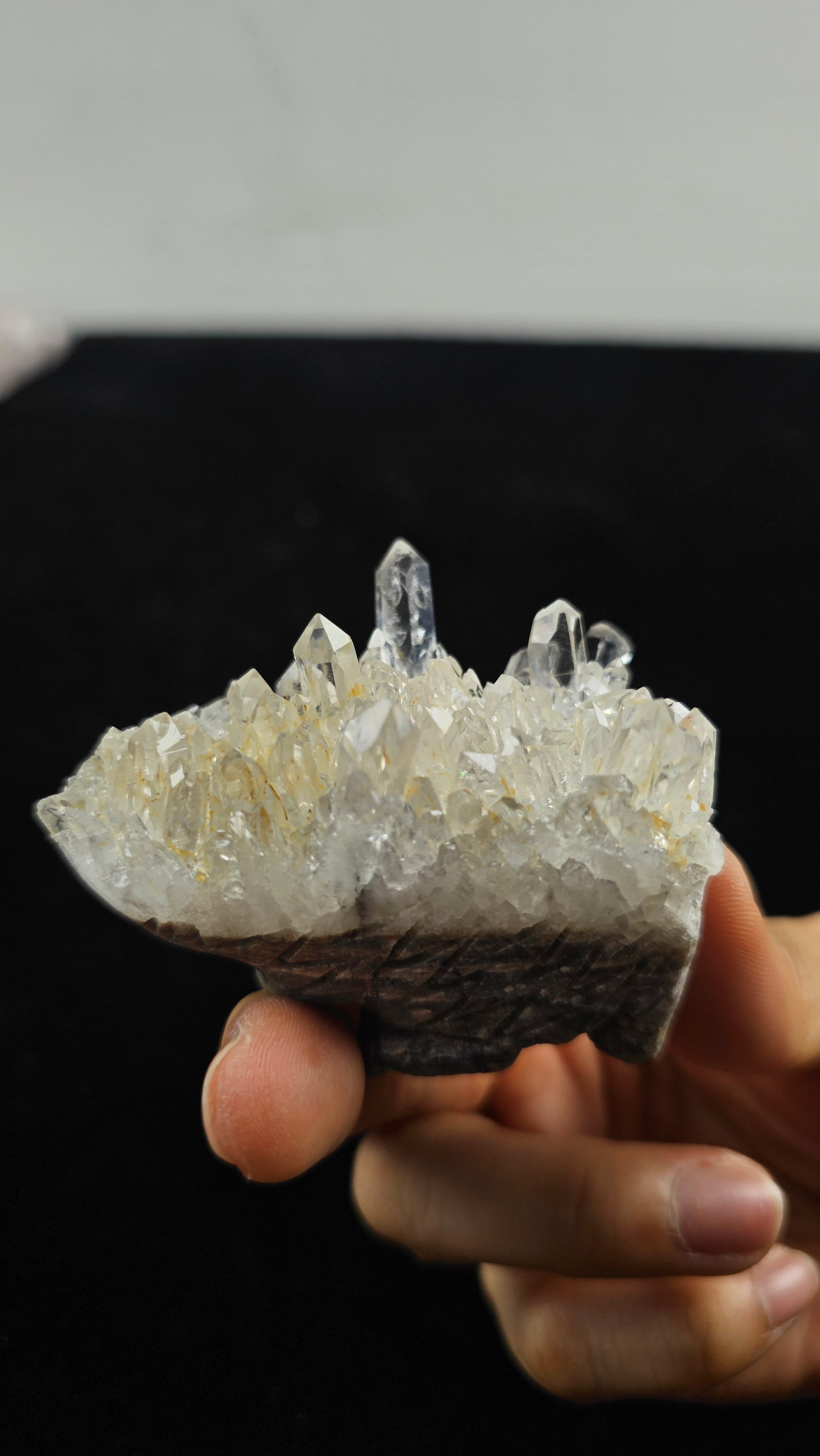 Adorable Clear Quartz Hedgehog | Crystal figurine for healing, meditation, décor & gifting. Unique, authentic & full of charm