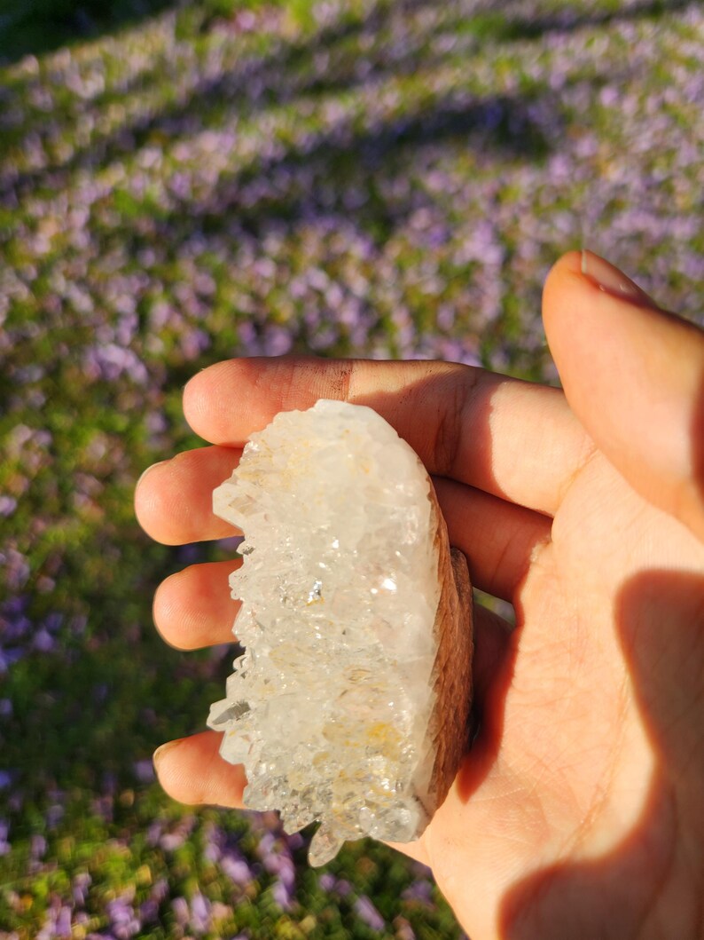 Crystal Hedgehog Sculpture