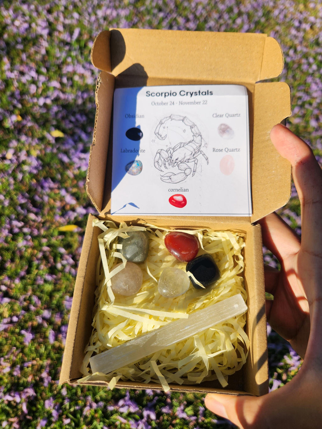 Scorpio Crystal Set — Transformation, Protection Healing Stones with Selenite Charging Bar, Zodiac Crystal Gift Box