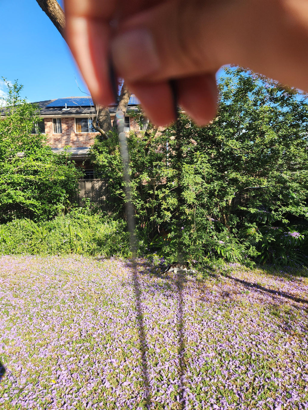 Heart-Shaped Raw Amethyst Necklace — Natural Crystal Pendant for Calm, Love, Spiritual Protection