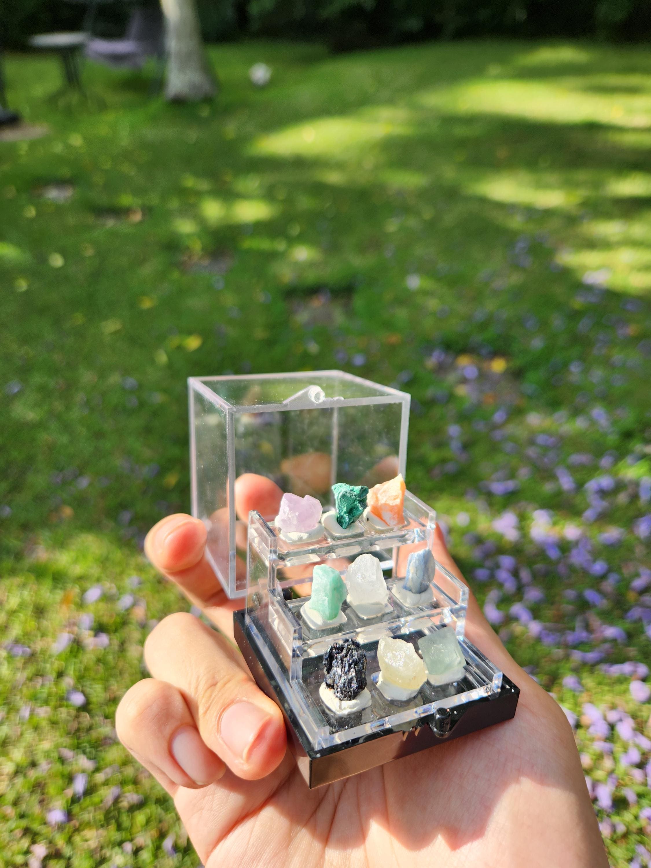 Micro Crystal Collection — Handcrafted Mini Gemstone Display Set