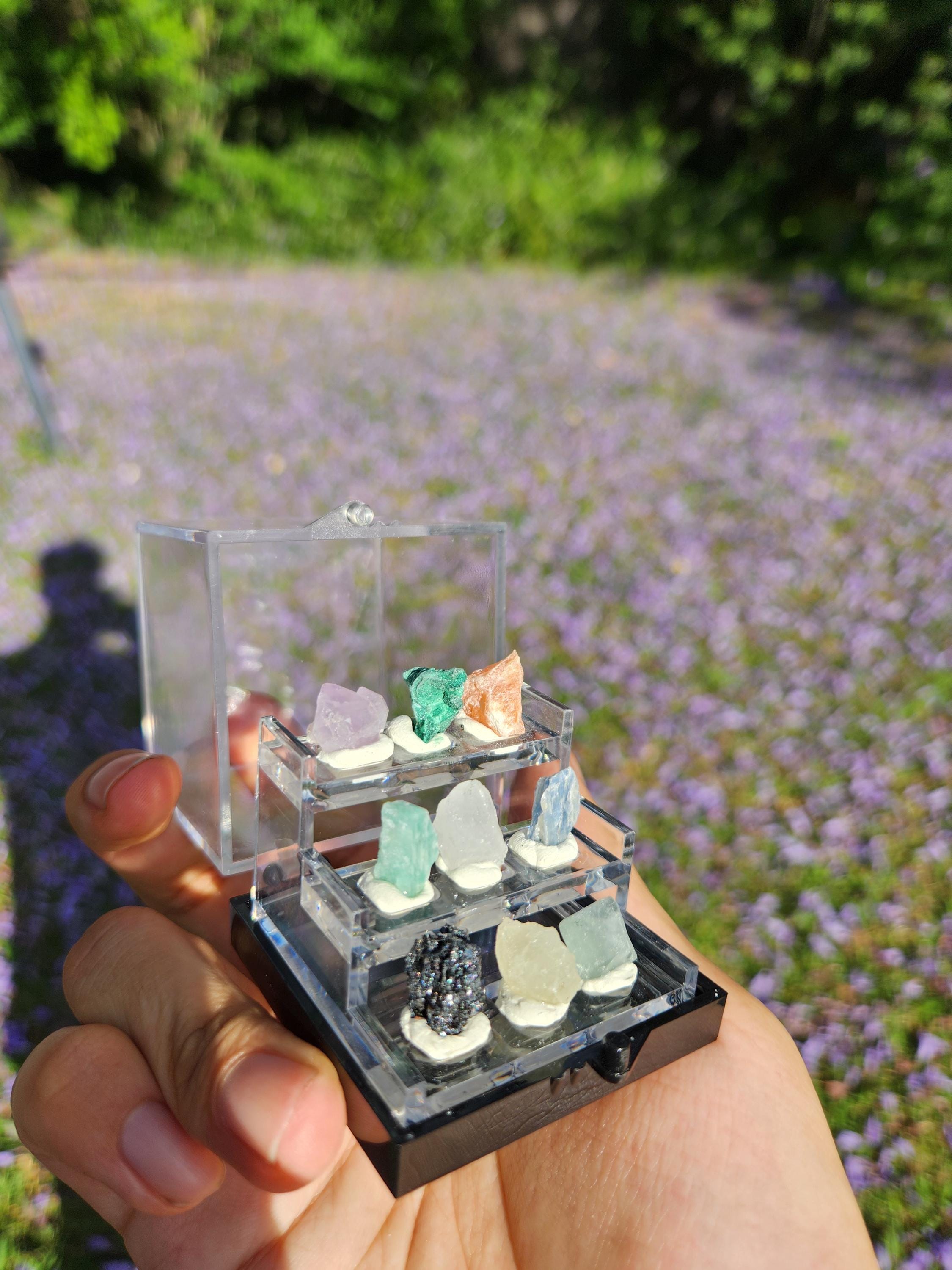 Micro Crystal Collection — Handcrafted Mini Gemstone Display Set