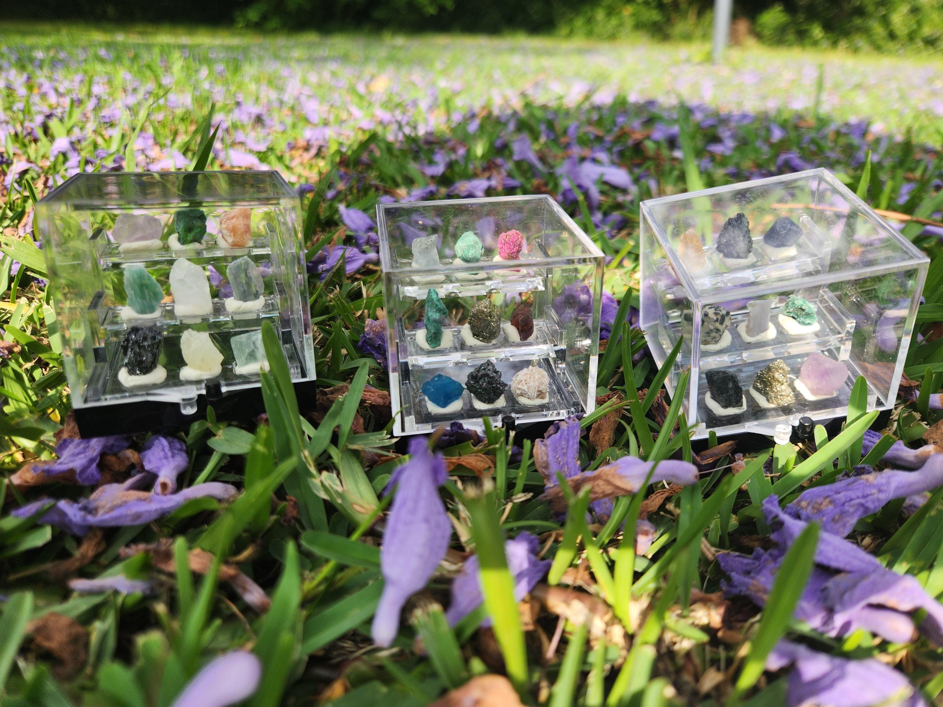 Micro Crystal Collection — Handcrafted Mini Gemstone Display Set