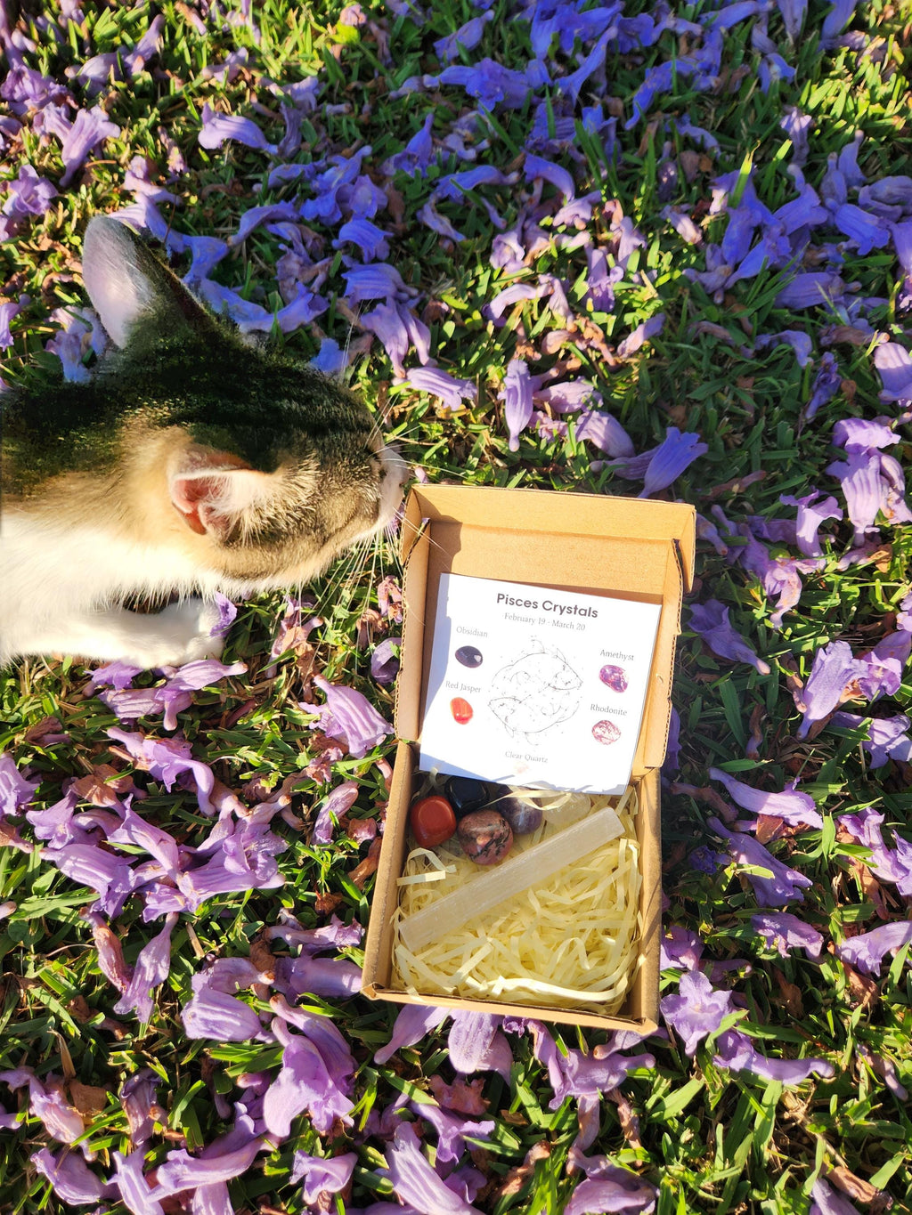 Pisces Crystal Set — Intuitive Healing Stones with Selenite Charging Bar, Zodiac Crystal Gift Box (February 19 – March 20)