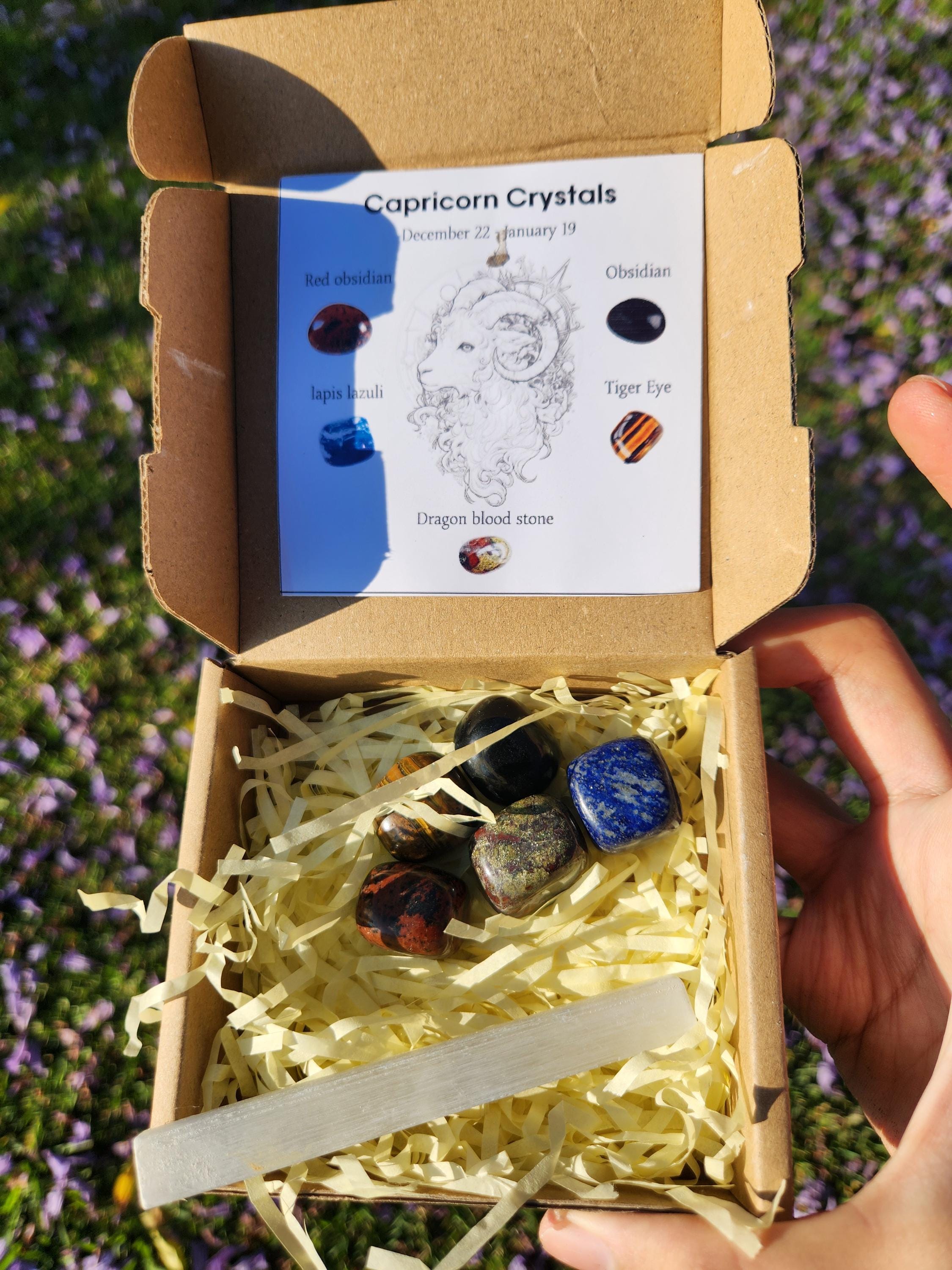 Capricorn Crystal Set — Grounding & Success Healing Stones with Selenite Charging Bar, Zodiac Crystal Gift Box (December 22 – January 19)