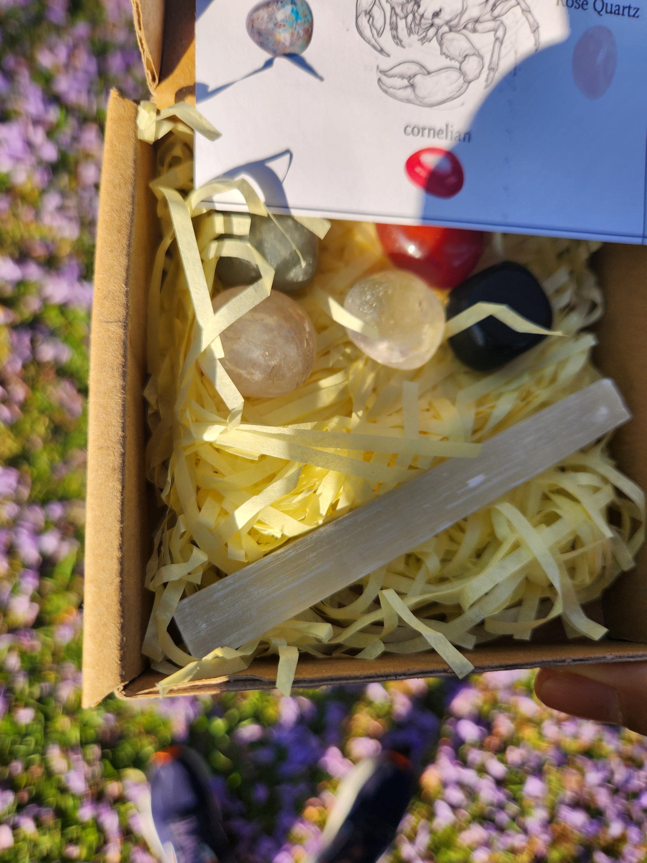Scorpio Crystal Set — Transformation, Protection Healing Stones with Selenite Charging Bar, Zodiac Crystal Gift Box