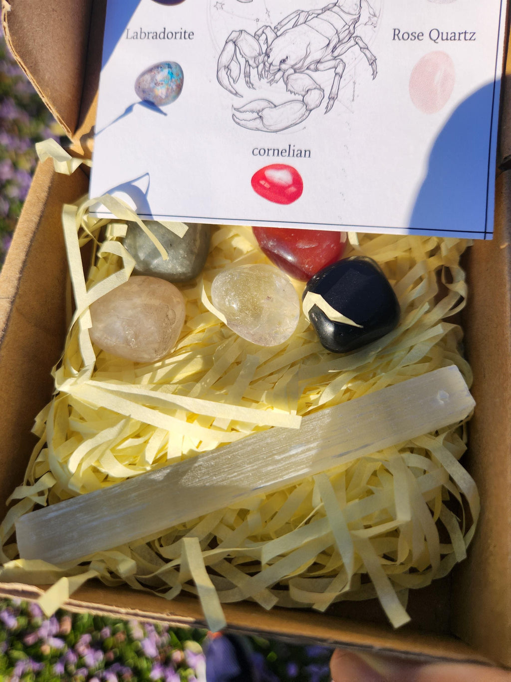 Scorpio Crystal Set — Transformation, Protection Healing Stones with Selenite Charging Bar, Zodiac Crystal Gift Box
