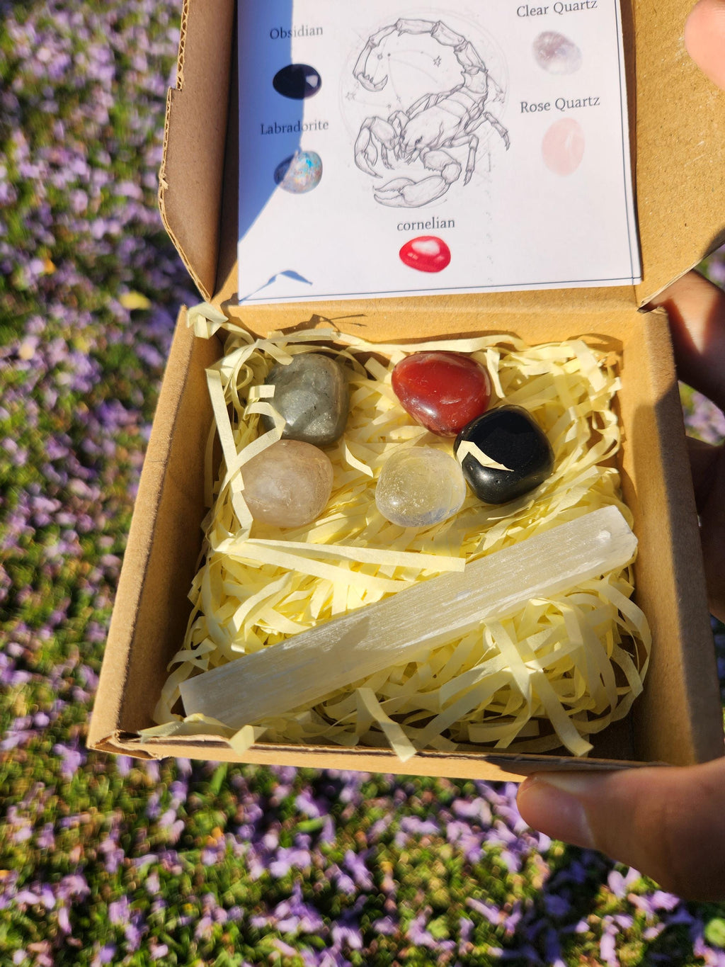 Scorpio Crystal Set — Transformation, Protection Healing Stones with Selenite Charging Bar, Zodiac Crystal Gift Box