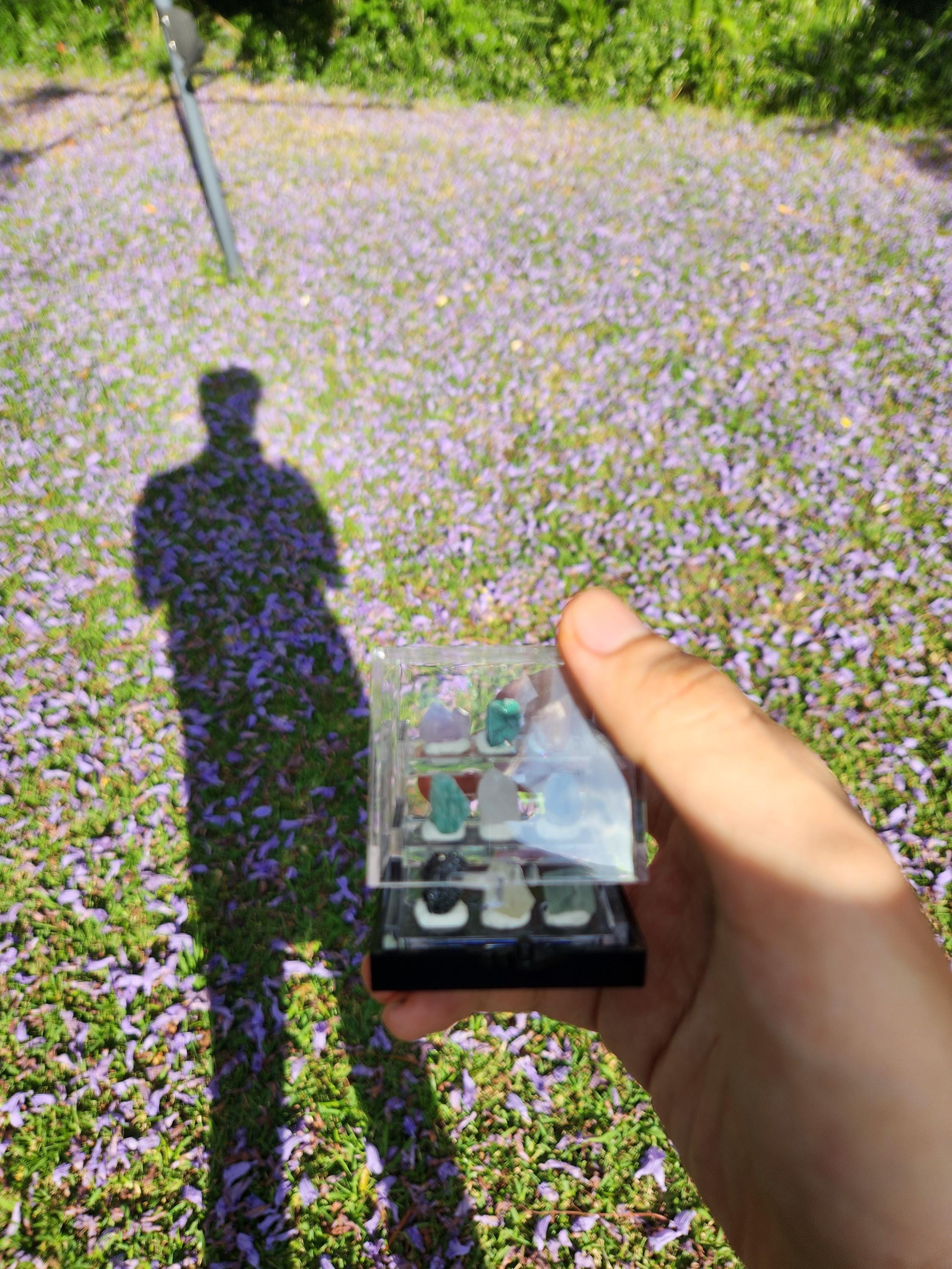 Micro Crystal Collection — Handcrafted Mini Gemstone Display Set