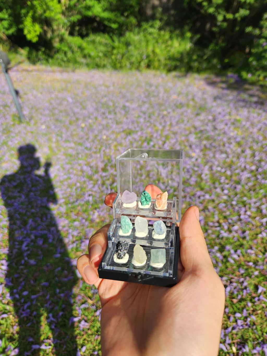 Micro Crystal Collection — Handcrafted Mini Gemstone Display Set