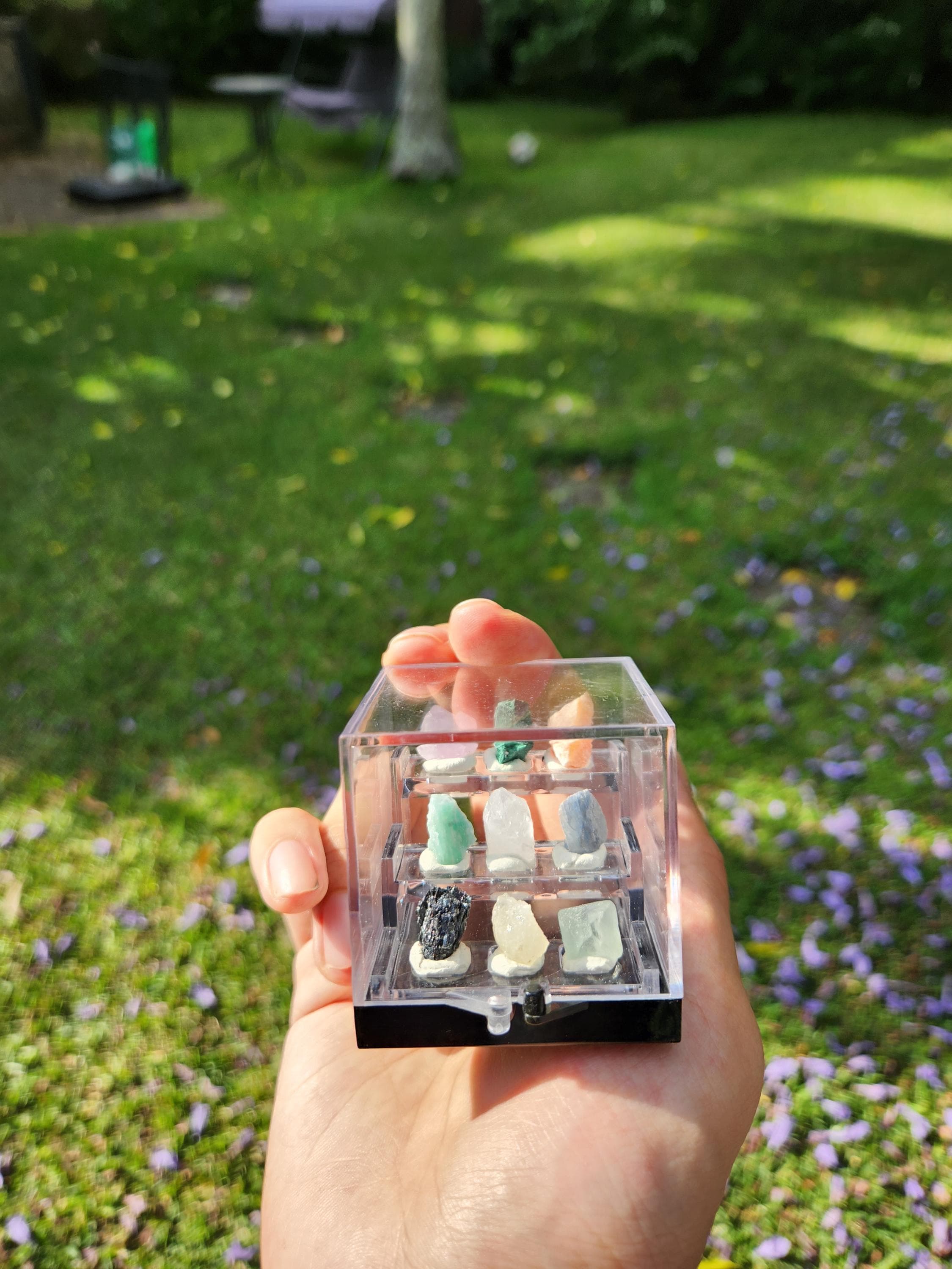 Micro Crystal Collection — Handcrafted Mini Gemstone Display Set