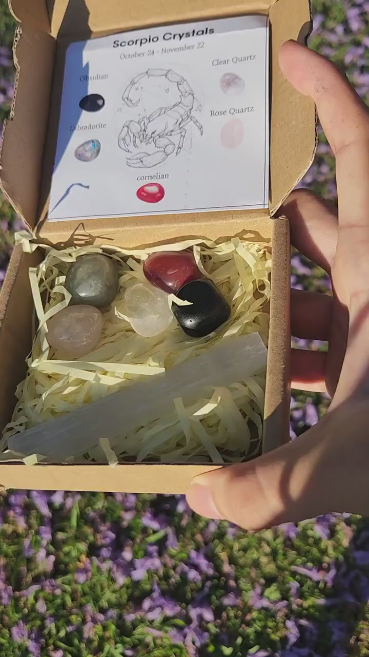 Scorpio Crystal Set — Transformation, Protection Healing Stones with Selenite Charging Bar, Zodiac Crystal Gift Box