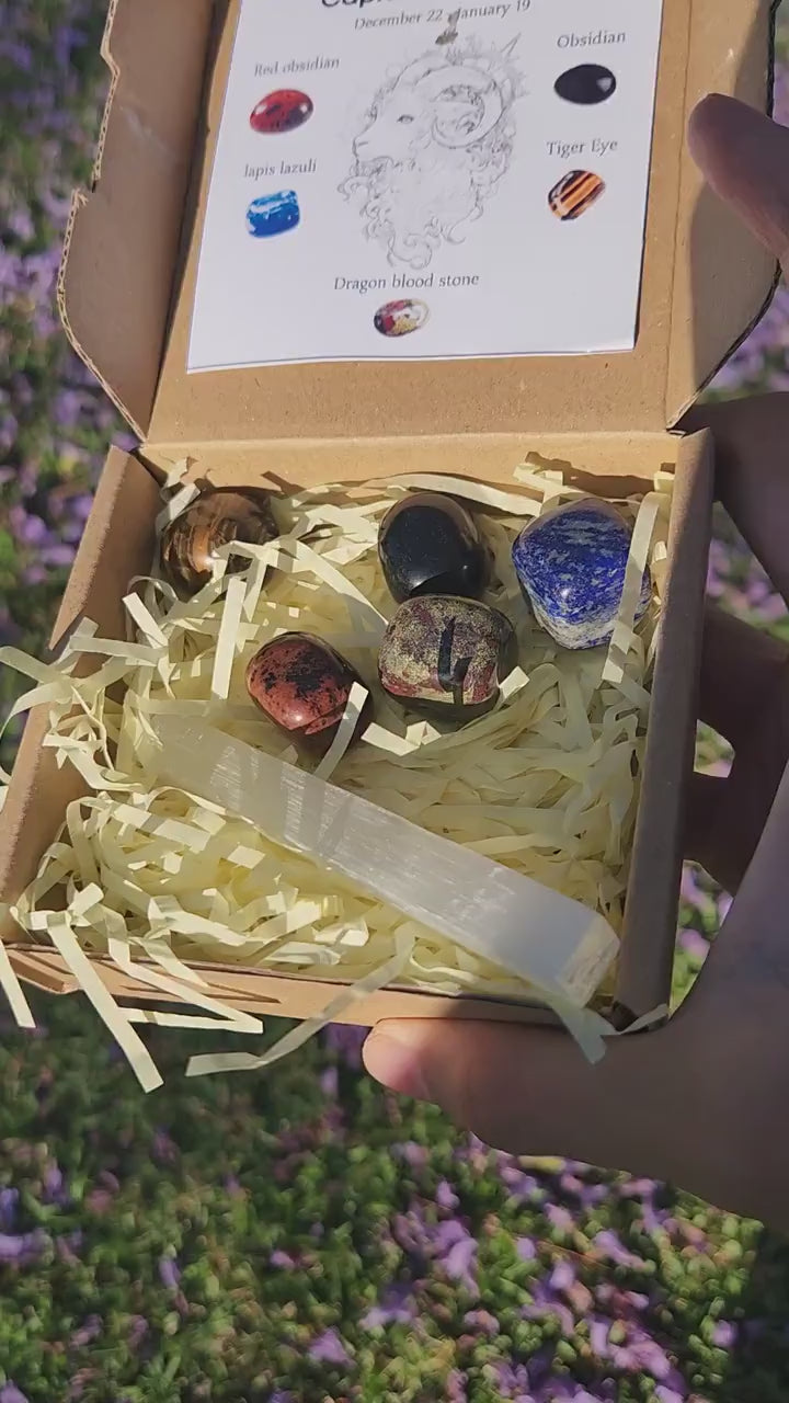 Capricorn Crystal Set — Grounding & Success Healing Stones with Selenite Charging Bar, Zodiac Crystal Gift Box (December 22 – January 19)